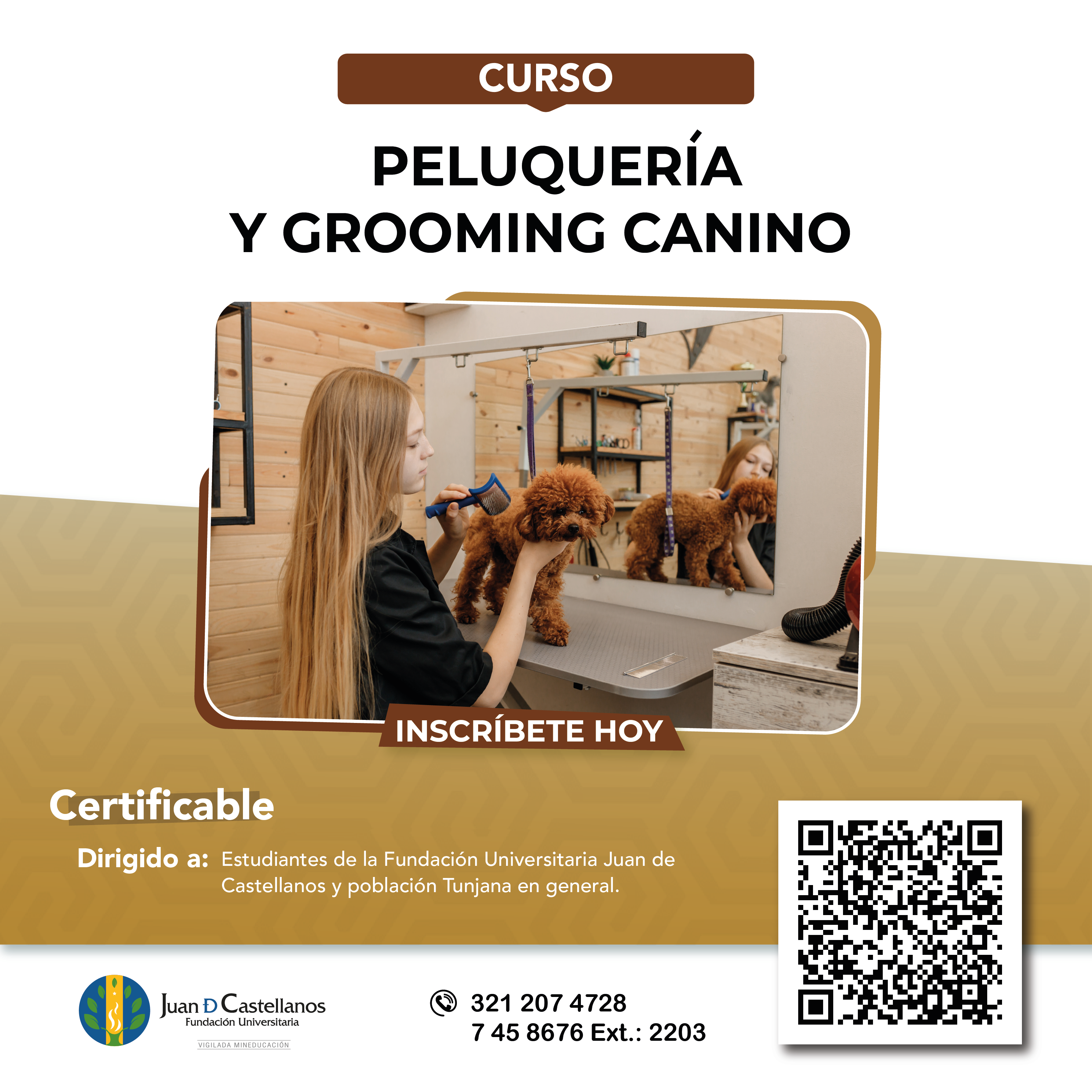 ¡Inscríbete al curso de Peluquería y Grooming Canino!