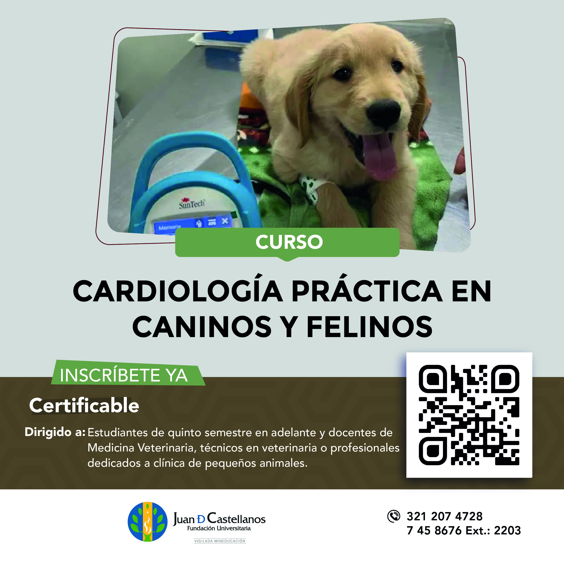 Curso Cardiología Práctica en Caninos y Felinos