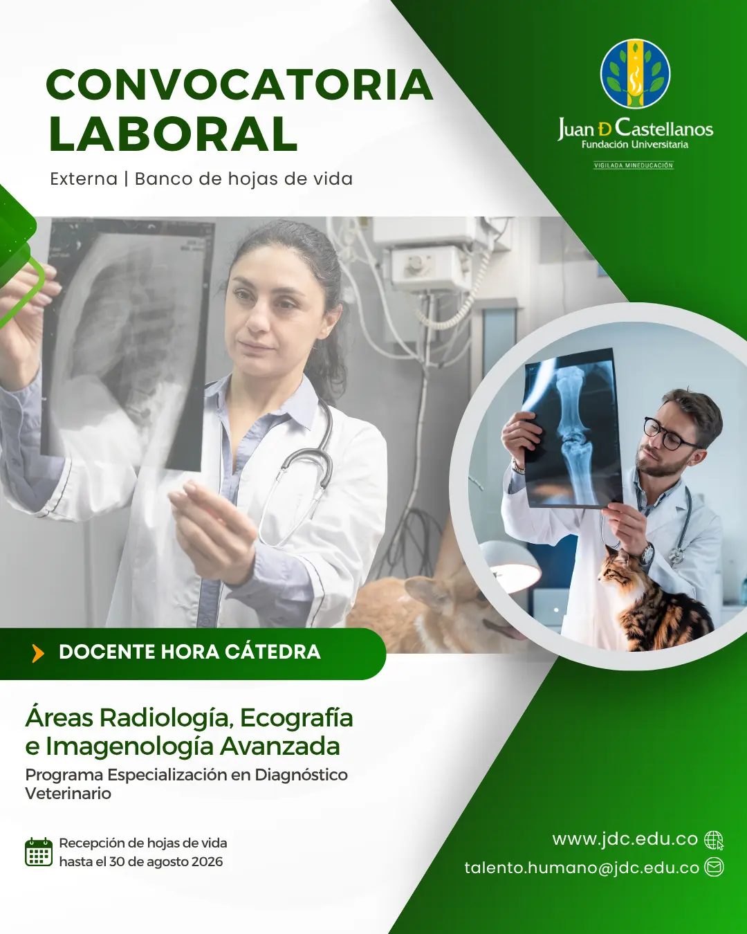 Radiología, Ecografía e Imagenología Avanzada (Hora cátedra) – Especialización en Diagnóstico Veterinario (Convocatoria externa | Banco de hojas de vida)